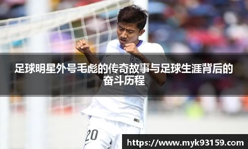 bsports官网入口