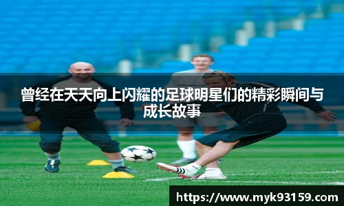 bsports官网入口
